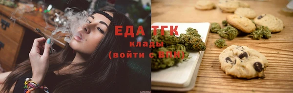 крисы Абаза