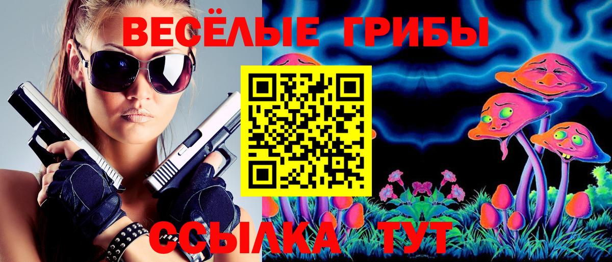 Юрга  Псилоцибиновые грибы Psilocybe  Вход с VPN  Галлюциногенные грибы мицелий 