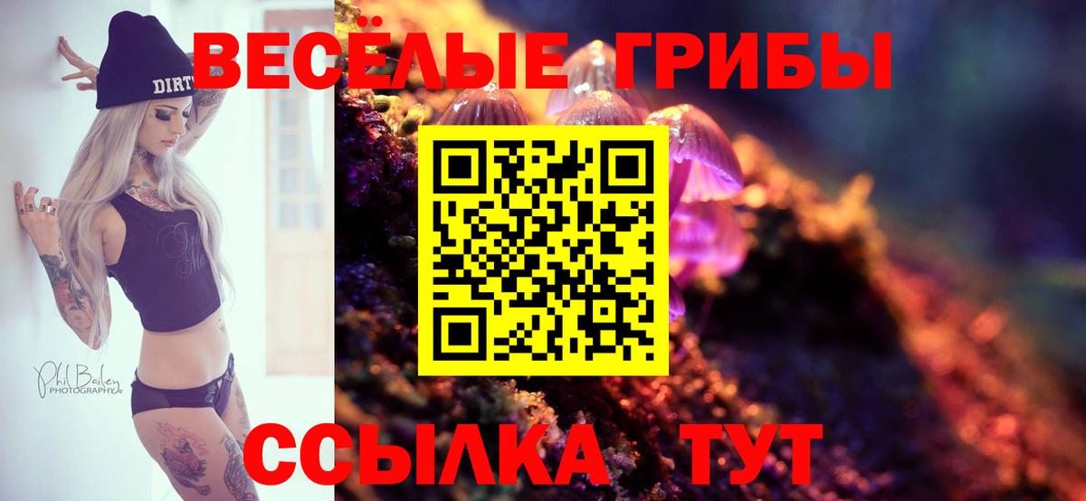 Псилоцибиновые грибы Psilocybe Юрга